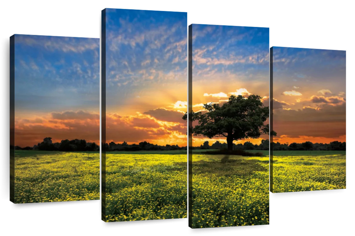 Millwood Pines Alvord Shadows At Sunset | Wayfair