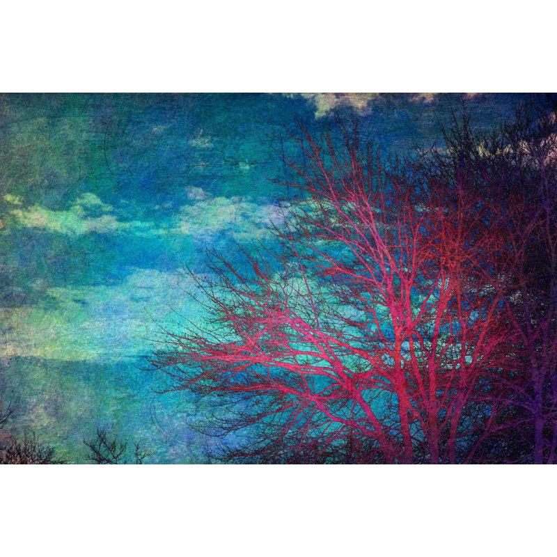 Sylvia Cook - Wrapped Canvas Print, 30cm H x 45cm W 