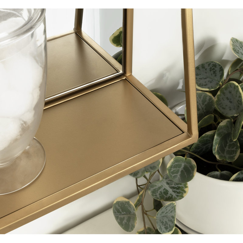 Carlyssa Modern & Contemporary Accent Mirror with Shelf