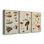 Mushroom Species X - Toile tendue sur mesure avec châssis - 3 pièces
