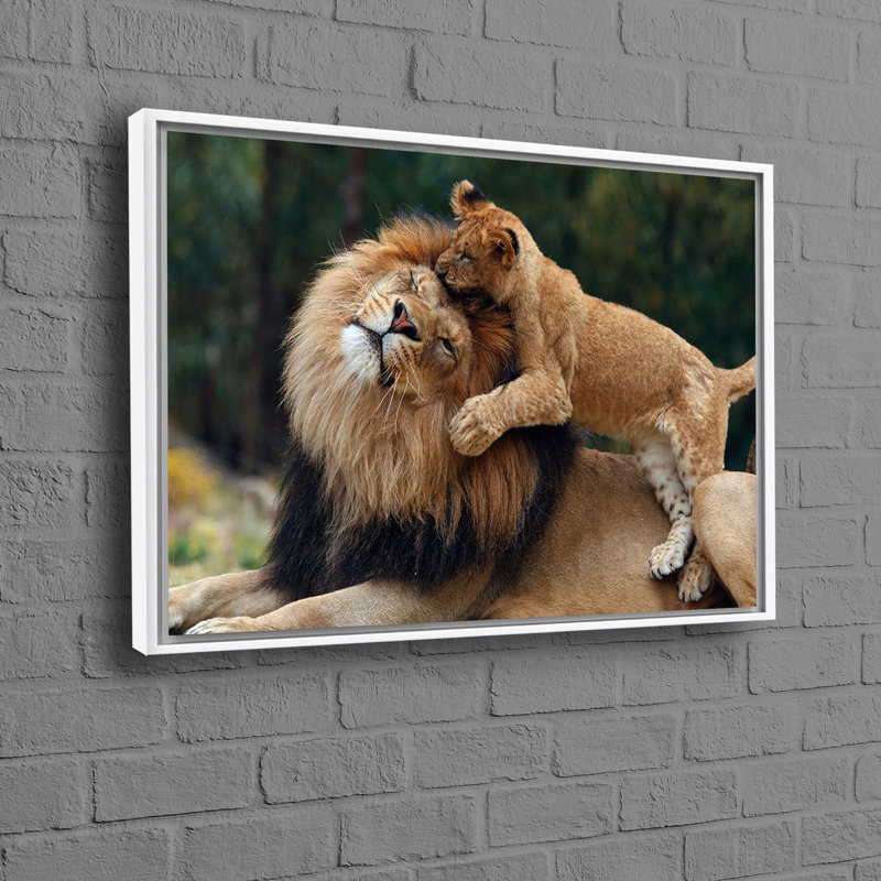 Print on Canvas, White Floater Framed, 40 cm H x 60 cm W