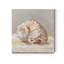 Impressionist Shell Study II - impression sur toile tendue-848930523