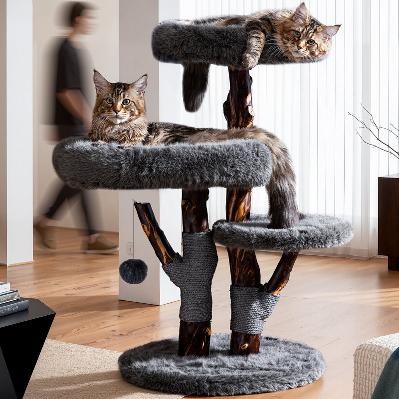 Arbre à chat unique en bois massif pour grands chats et MianeCoon