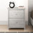 Isenbert 2-Drawer Nightstand-1601593291
