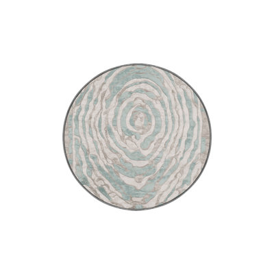 Machine Washable Gray Area Rug