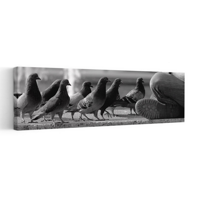 Art mural urbain, pigeons urbains, «Quiet Moment», H 12 po x l 36 po