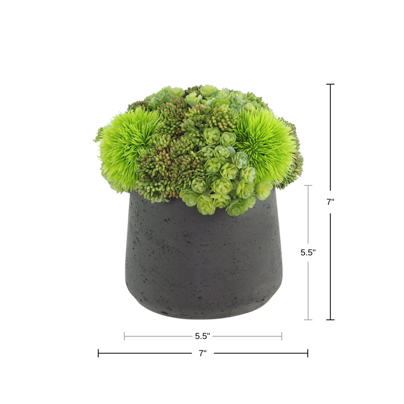Rizal Faux Succulent in Fiberstone Pot, Black