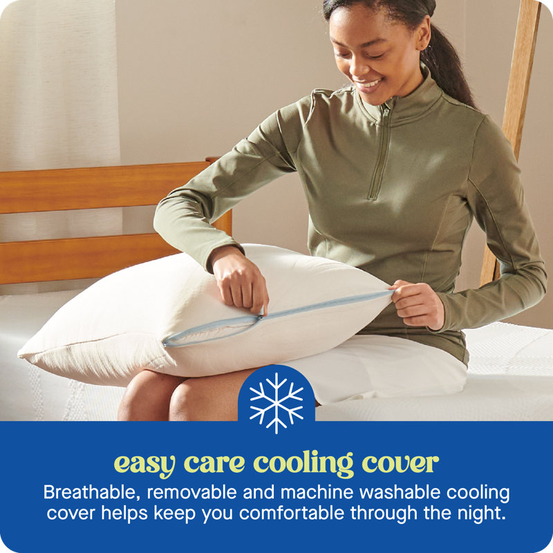 Sealy Dreamlife Standard White Shredded Memory Foam Pillow