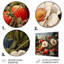 Peinture Renaissance d'un fruit de fraise III - fruits, art mural en métal-2114004559