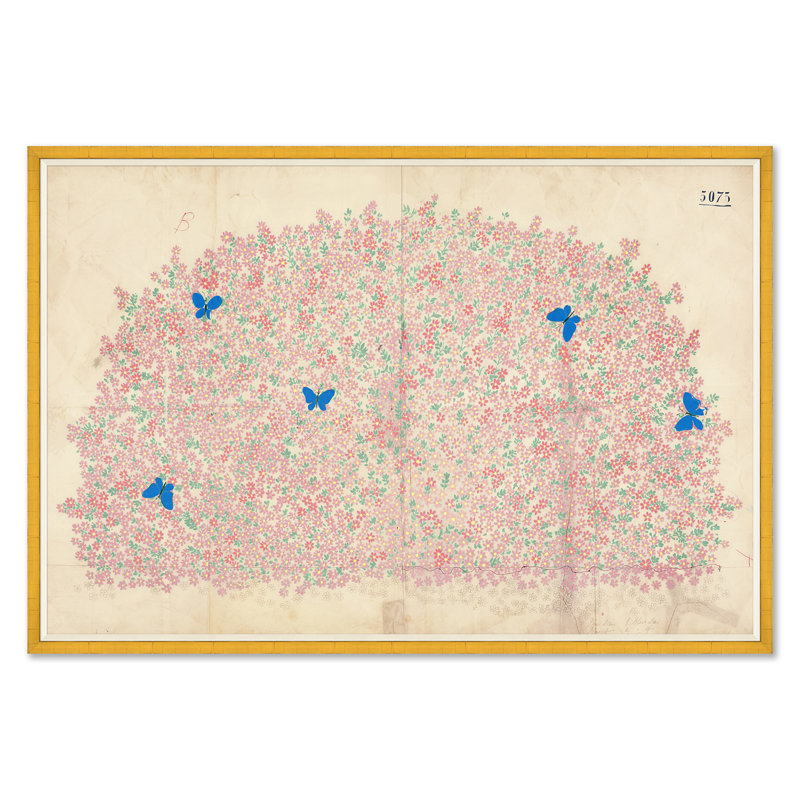 Myosotis Print by Paule Marrot Soicher Marin, Gold Framed