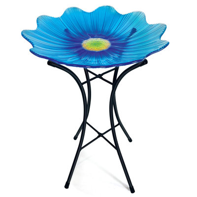Bird Bath for Outside