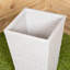 Samuel Alexander Pot Planter