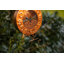 Alonsa Metal Hanging Decorative Bird Feeder