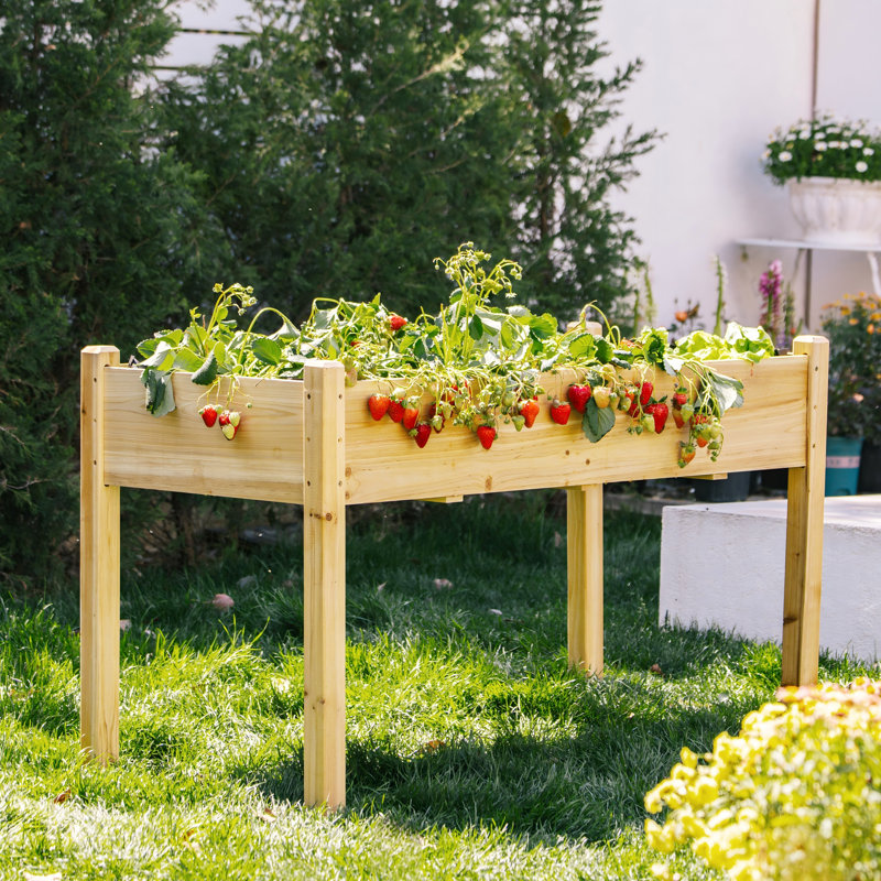 Handmade Raised Garden Bed, Beige