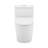 Arles One-Piece Elongated Toilet Vortex Dual-Flush 1.1/1.6 GPF