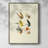 Bass Flies I Framed Print - Solid Wood