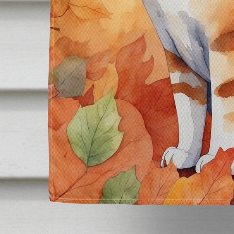 Chat en feuilles d'automne, Malaisie