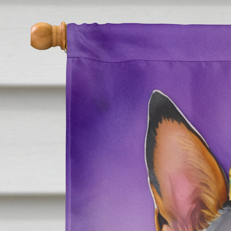 Double Sided 40'' H x 28'' W Polyester Mardi Gras House Flag