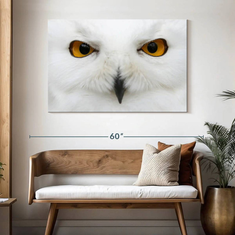 Brampt yeux de chouette des neiges, H 32 po x l 48 po