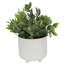 Eucalyptus artificiel 4,5 po en pot