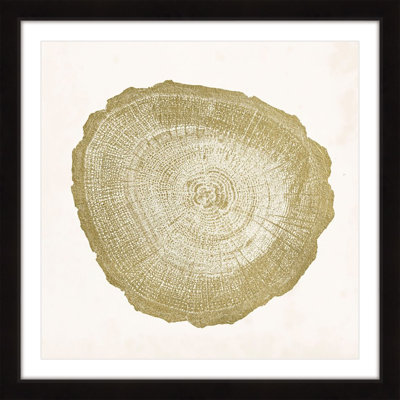 "Tree Ring IV", reproduction encadrée
