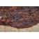 Cyprian Cowhide Animal Print Indoor Rug