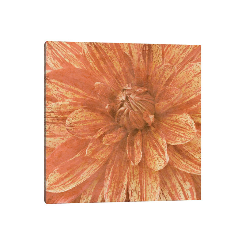 Wall Flower IX by Alonzo Saunders - Wrapped Canvas Painting, 30.48 cm H x 30.48 cm W