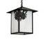 Luminaire suspendu lanterne artisanale 1 lumière Averylynn