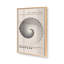 Impression monochrome de courbes de Bauhaus-1228574669-1233272272-1233272281