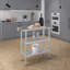 Stainless Steel Work Table with 2 Shelves-60901491