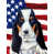 Basset hound 4