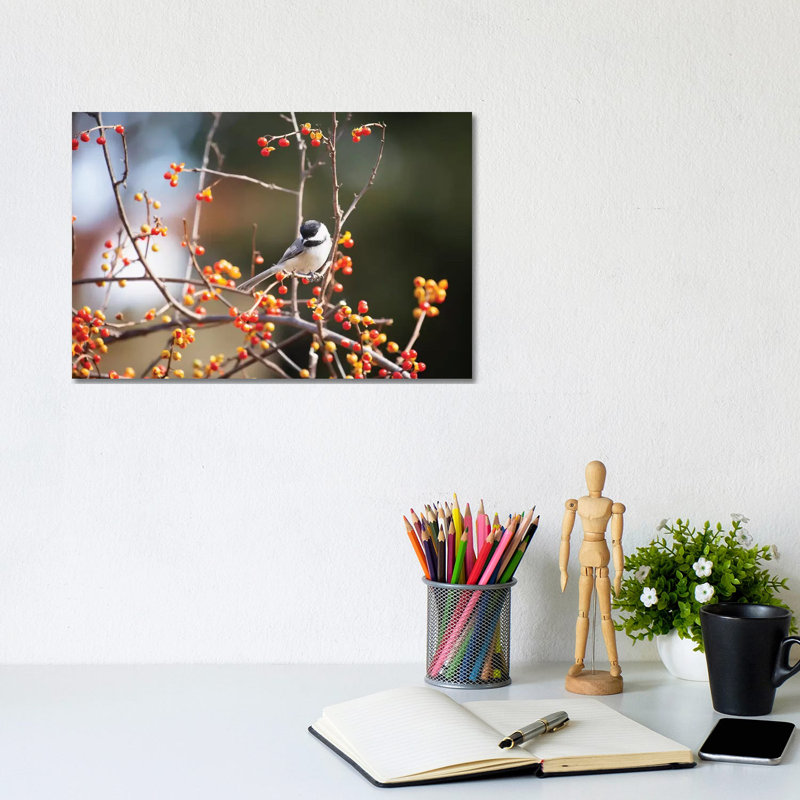 Chickadee Bittersweet by Karen Burke - Wrapped Canvas Print, 20.32cm H x 30.48cm W x 1.905cm D