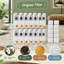 12-Pack Dog Fountain Filter Set for compatible 3Gal/12L dispensers, featuring 4-layer filtration and 12 pump filters.