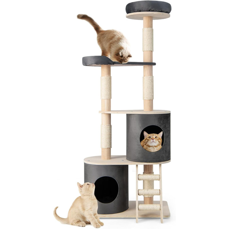 Unadilla 161 cm H Cat Tree / Condo