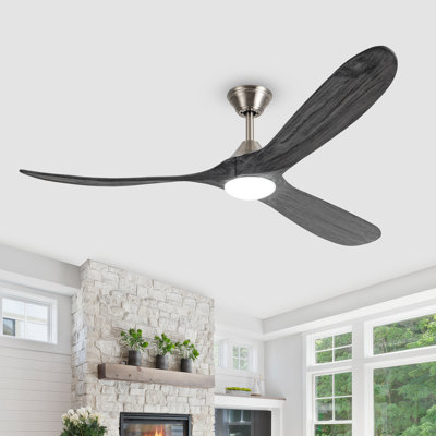 Christela Netrapal Ceiling Fan with LED Lights