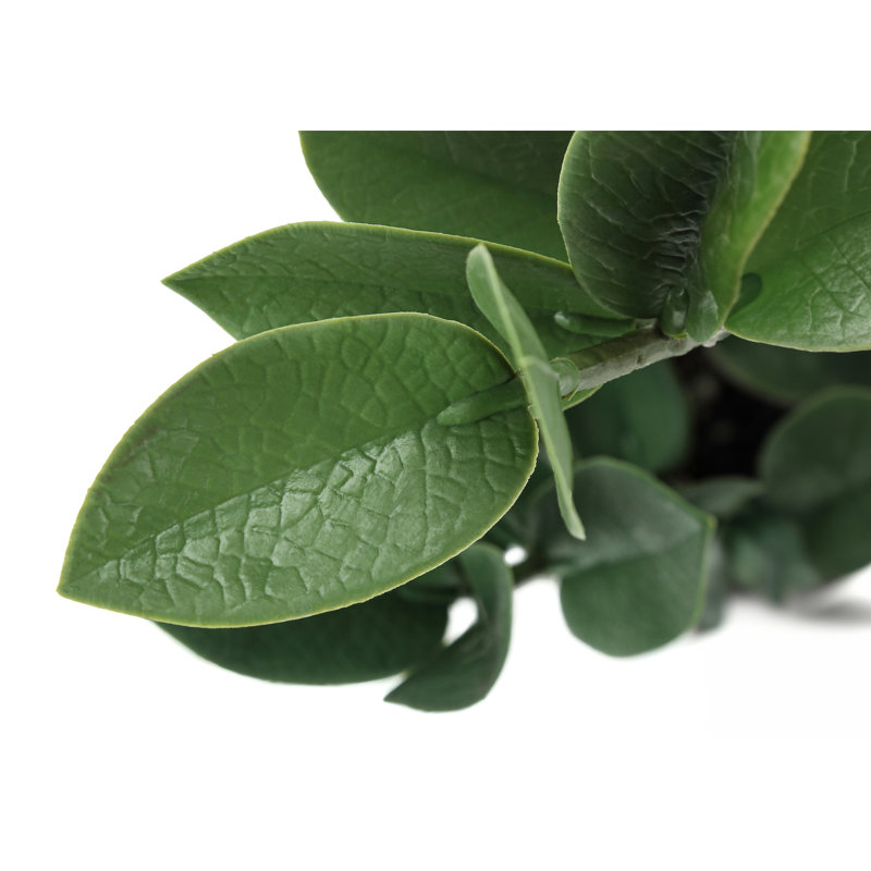 20 po de hauteur plante artificielle Zz en pot de ciment gris, plante décorative d'intérieur avec effet de verdure