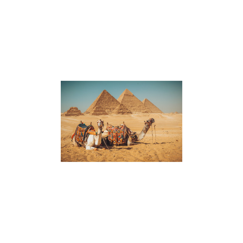 Wrapped Canvas Print, 50.8 cm H x 76.2 cm W