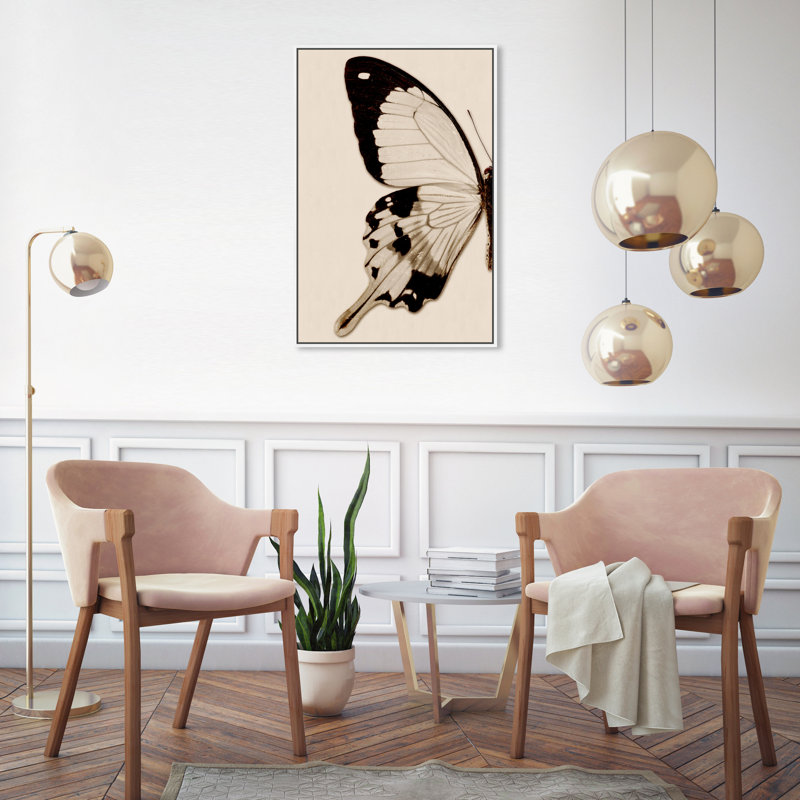 Animaux, papillon sépia I, insectes - Impression sur toile, H 30 po x l 20 po, Toile blanche encadrée