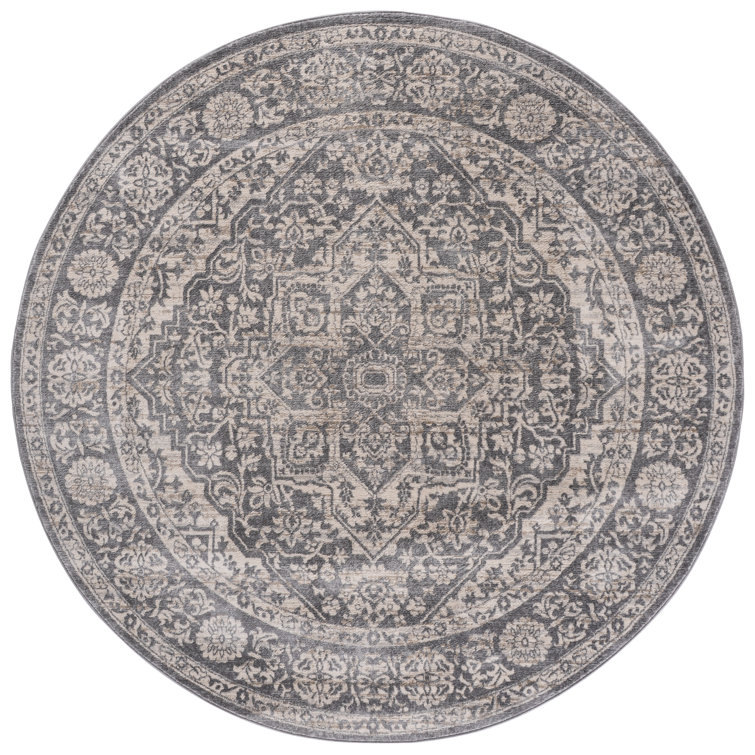 Oriental Light Gray/Ivory Area Rug