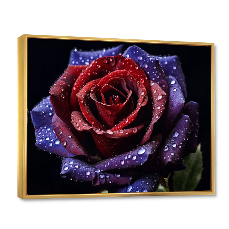 Rose rouge et mauve avec gouttes de pluie - art mural floral, Cadre flottant doré, H 24 po x l 32 po x P 1 po