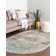 Alize Oriental Indoor Rug