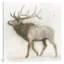 Elk V.2, reproduction d'art sur toile tendue-19159578-74292808-74292809