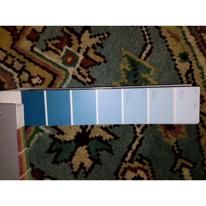 Katelina Oriental Area Rug in Blue