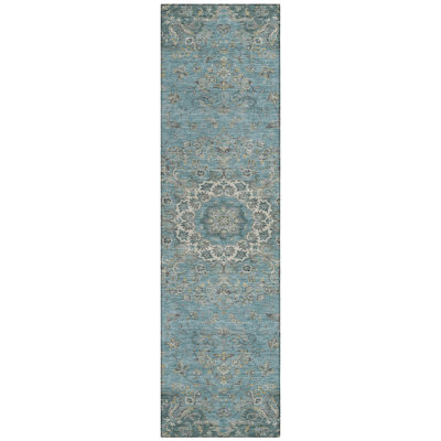 Machine Washable Indoor/Outdoor Chantille ACN2543 Global Rug