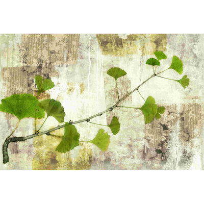 " Gingko Branch "