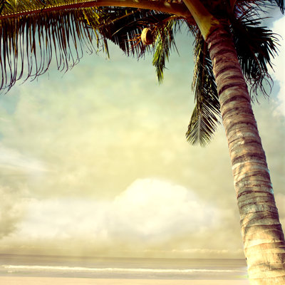 Photo Beach par Photomotive - Photographie sur toile tendue
