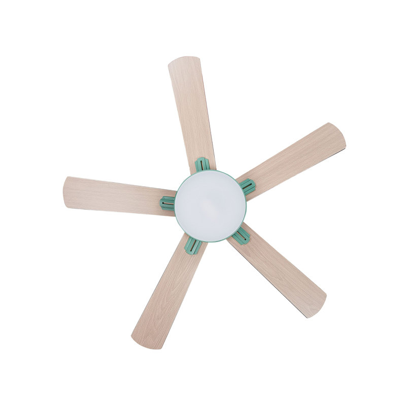 Arsav 130cm Ceiling Fan with LED Lights, Mint Green with Light Wood Blades