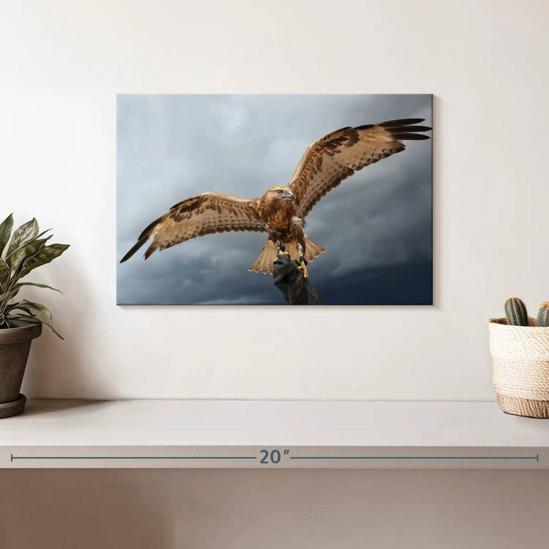 Brampt Falcon On Gauntlet, 8" H x 12" W