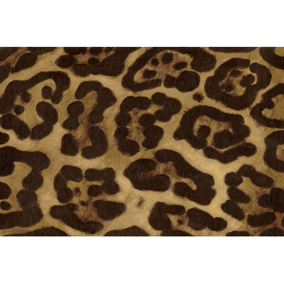 Spots I