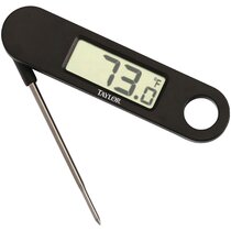 https://assets.wfcdn.com/im/22673874/resize-h210-w210%5Ecompr-r85/4244/42448106/Taylor+Folding+Probe+Digital+Meat+Thermometer.jpg